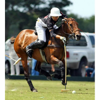 Gonzalito Pieres keeps possession of the ball on a breakaway run downfield