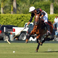 Gonzalito Pieres tries to gain control of the ball