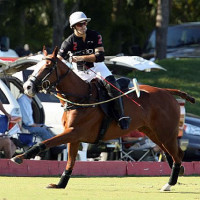 Nico Pieres goes for the neck shot toward goal
