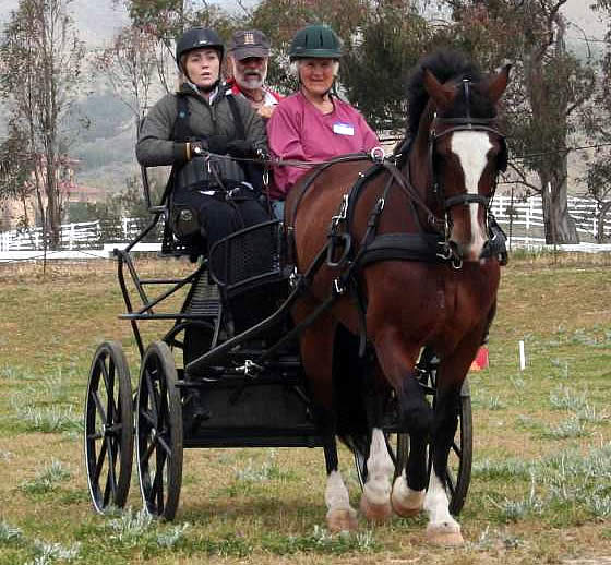 Para-Equestrian Developing Driver Clinic Featured Top Clinicians