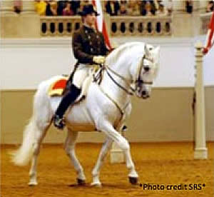 Spanish Riding School Clinic in FL