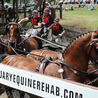 Chester Weber and his FEI Four-In-Hand team powers through The Sanctuary Water Hazard. Photo by PicsOfYou.com
