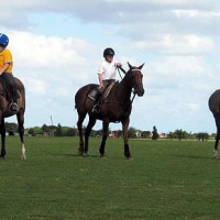 Sunday polo practice with the children from Happy Endings Farm