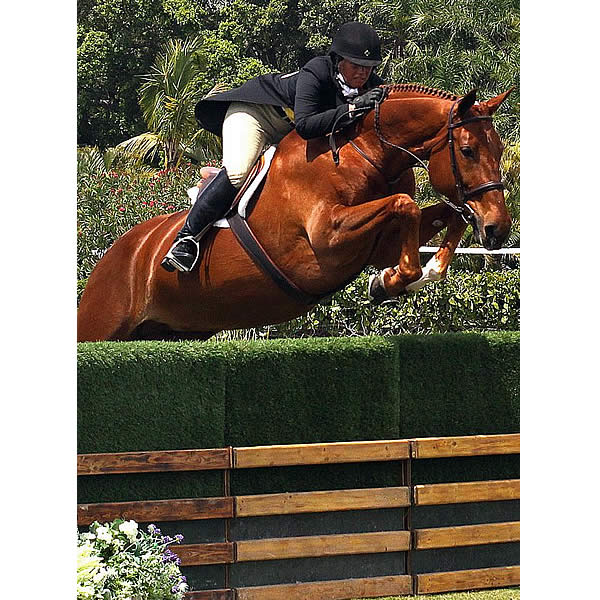 Jennifer Alfano and Miss Lucy Lead the Victory Gallop at the USHJA International Hunter Derby