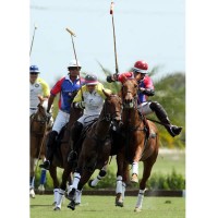 France's top women's player Caroline Anier of Cedar Crest Stables outraces defenders Gordon Ross and Juan Bollini to score one of her three goals