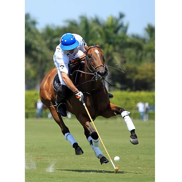 Lechuza Caracas Defeats Piaget in Opening Game of 109th Maserati U.S. Open