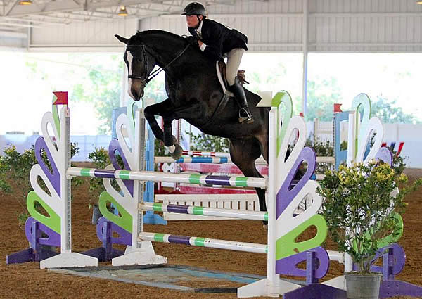 Geoffrey Hesslink Rides to Top of Leader Board in Both Phases of WIHS Equitation