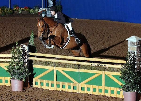 Peter Pletcher and NLF Shakespeare’s Rhythm Take Top Honors at Spring Gathering Horse Show