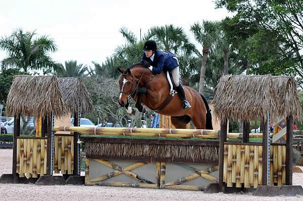 Katie Robinson and Rock Steady Have a Strong Finish at Winter Equestrian Festival