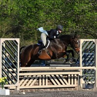 ©ESI Photography. Amy Zettler and Glad Rags won the $1,500 HITS Hunter Prix