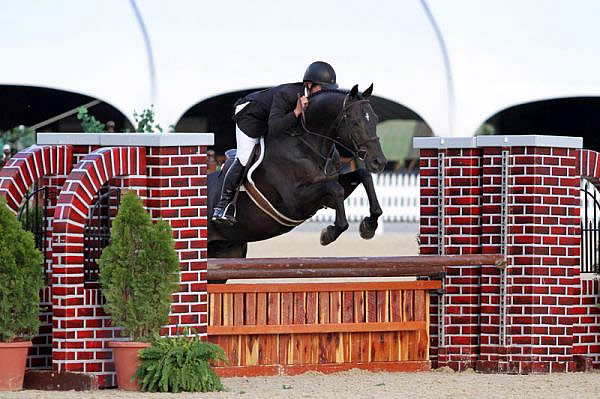 Shawn Casady and Stars Go Blue Score $5,000 Hallway Feeds USHJA National Hunter Derby Victory