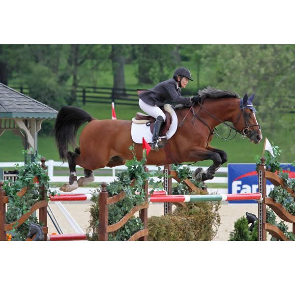 Margie Engle and Royce Race to Win $75,000 Mary Rena Murphy Grand Prix at Kentucky Spring Classic