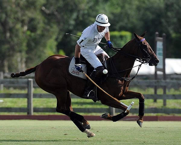 Audi, Piaget Play for USPA Spring Challenge Championship Sunday at Grand Champions Polo Club