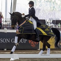 Lyle and Wizard at 2012 World Dressage Masters Palm Beach