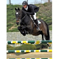 Devin Ryan and No Worries sail over a jump in the Olympic Stadium during the Classic Company's Spring Atlanta Classic. Flashpoint Photography