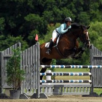Rachel Wadsworth, in the irons aboard Captain Lymington, clears an oxer in one of the many jumper classes offered. Flashpoint Photography.