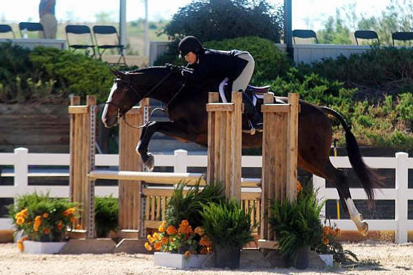 Liza Dennehy Fights Back after Cardiac Arrest to Claim 3’3″ Amateur Owner Hunter Championship