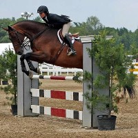 USEF/Pessoa Hunt Seat Medal winner Sunny Drescher