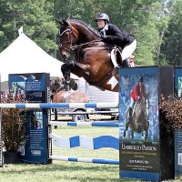 Gwen Goodwin and Fedel placed second