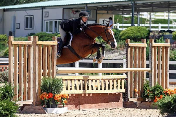 Nicole Lyvere Off to Promising Start in 3’6″ Amateur Open Hunters at Summer in the Rockies III