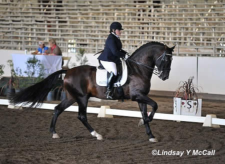 Dressage Riders Secure World Equestrian Games Qualifying Scores at Golden State Dressage Classic CPEDI3*