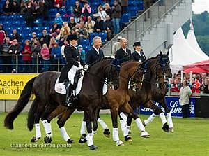 US Dressage Team Storms to Third Place in Lambertz FEI Nations Cup at Aachen CDIO5*