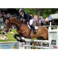 McLain Ward and Zander