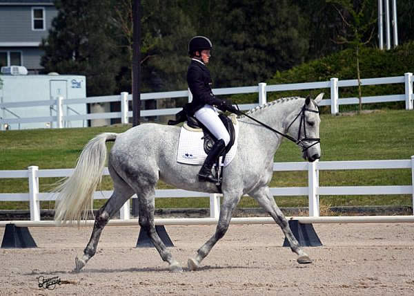 Dressage Day at Colorado Horse Park CCI* Sets the Stage for Cross-Country Showdown