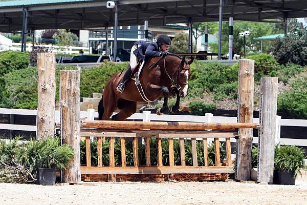 Caitlin Boyle and Emma Willsky Take Charge in Small & Large Jr. Hunters at Summer in the Rockies VI