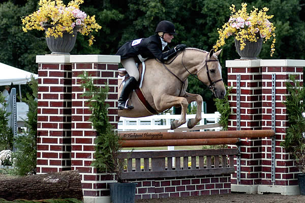 Charleston Summer Classic Kicks Off and Welcomes Merial