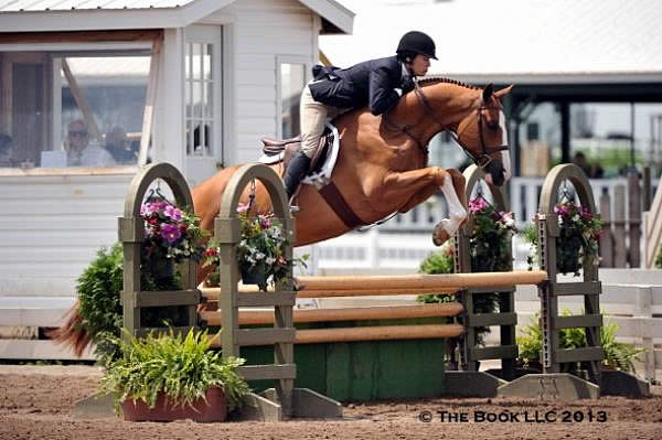 Katie Robinson Leads Amateur Hunters at I Love New York Horse Show