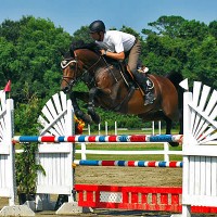 Christopher Schroeder sails over an oxer in the irons of GK Performance Horses, LLC's Diamont De Ravel to the win