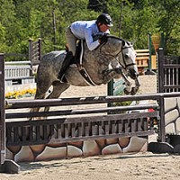 Scott Stewart claimed the Second Year Green Working Hunter Championship with Rose Hill Farm’s Enjoy