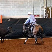 Josh Veal, SBA Open Hackamore Circuit Champion. Photo by Gayae Ghazaryan