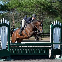 ©ESI Photography. Amy Zettler and Glad Rags kept their streak alive this weekend with another $1,500 HITS Hunter Prix victory