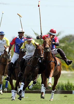 Gay Polo League Documentary Fundraising Under Way