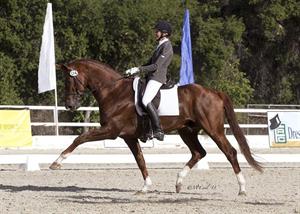 Jorst and Vitalis Eye Top Results at 2013 FEI World Breeding Championships for Dressage Young Horses
