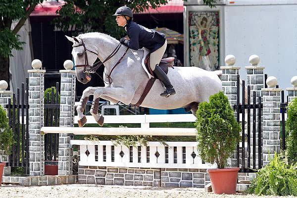 Tracey Mack-Gorin and Icarus Top Ariat Adult Medal at Kentucky Summer Classic