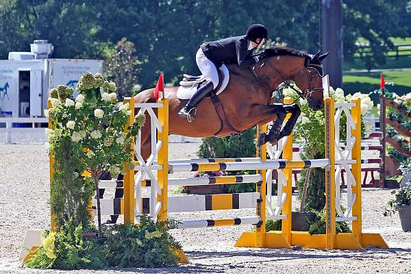 Kelly Maloney and Leroy Brown 17 Leap to Adult Jumper Classic Victory at Kentucky Summer Classic