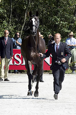 Sun Smiles on Horses and Riders at Malmö