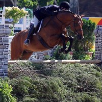 Peter Pletcher and Lucador
