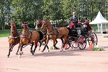 Driving Brings This Year’s Test Events for World Equestrian Games 2014 to Successful Close