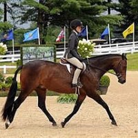 Daisy Farish and Northwind Marin (Shawn McMillen Photography)