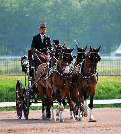 Team Weber Undefeated in Dressage on European Tour