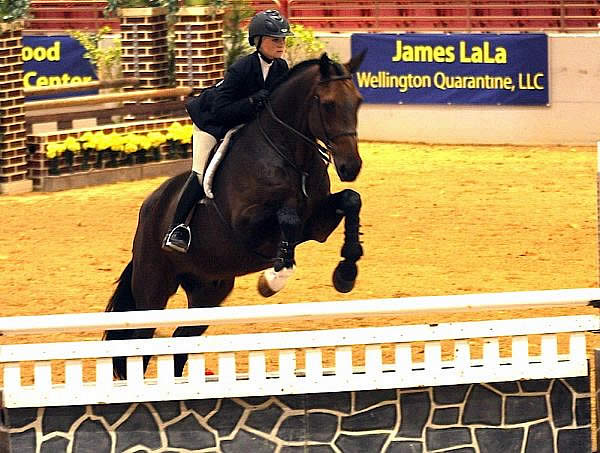 Southeast Medal Finals Kicks Off on Thursday, September 19 at the Jacksonville Equestrian Center