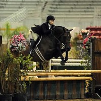 Lavish and Jia Meininger