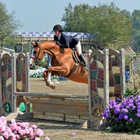 ©ESI Photography. Lena Reeb and Private Ryan on course during the HITS Working Hunter – Non-Professional