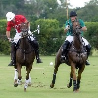 Audi's big hitter Juan Bollini (3) goes for the big neck shot against Newport's Kaisser Maakar (4)