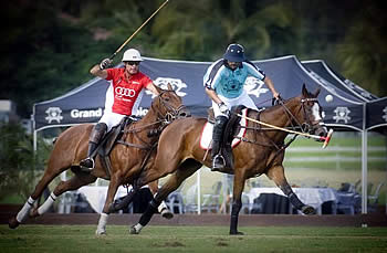 Palm House Wins USPA Fall Plates Tournament; Guille Aguero Named Most Valuable Player