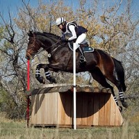 Rochelle Costanza and Lionhart